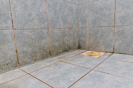 Bathroom Tiles Silverton